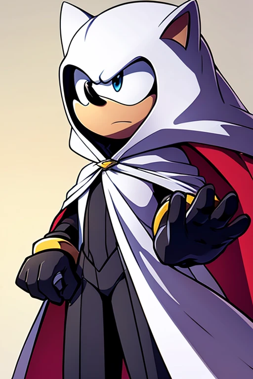   white cape, white hood,  , black gloves, seriously, mobian, hedgehog