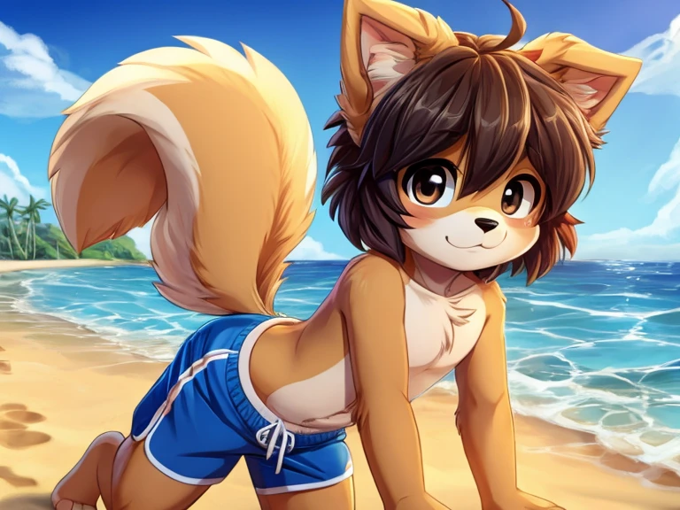 hairy girl, young, Fox, Brown spiky hair, Short pointed ponytail, Yellow Eyes, Small breasts, Detailed body fur, , masterpiece, Anime Style, Two-tone body fur, brown body fur, clear brown body fur, fox, tail, Detailed face, Thick eyebrows, Fine grain, Detailed body, Beach, sunny, Fine hand, Shining Body, Shiny body, Embarrassed face, :3, foot hits three toes,Completely naked,Completely nakedのまま,Naked,Lift both legs up,Please turn your crotch towards me,Pussy,おPussy,Embarrassed expression,Lifting both legs to reveal crotch and anus,The whole picture is visible,足The whole picture is visible,Show the soles of both feet,Pad,
