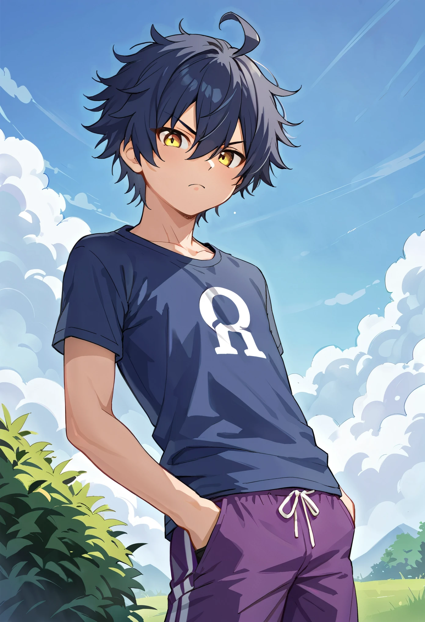 score_9_up, score_8_up, score_7_up, solo, source_anime, 1boy, handsome guy, young adult, young man, solo, dark blue hair, messy hair, ahoge BREAK hair over left eye, yellow eye BREAK blue shirt, short sleeves, purple shorts BREAK outdoors, grass, blue sky, bush, standing, looking at viewer, glaring