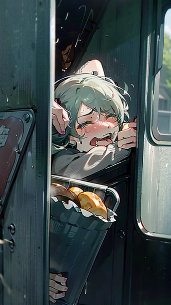 NSFW,naked,nude,With a wrinkled face and big tears, I close my eyes and shed a flood of tears,hatsune miku eating large amount of fried potatoes in the train while turning away, screaming and crying, and leaning her face back slightly