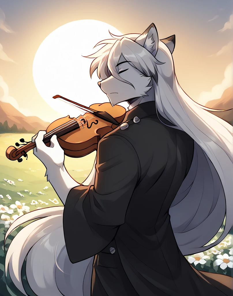 A fox, Black and white fur, masculine, Hairstyle (Long hair), wearing a blouse, playing a violin, stopped, in the middle of a field of flowers, sun, sunset, behind, with eyes closed, youthful face, short beard, necessary, Alta resunución.