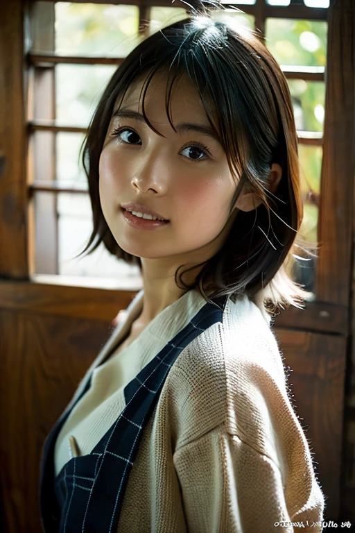 (highest quality,masterpiece:1.3,Ultra-high resolution),(Super detailed,Caustics,8k), (Photorealistic:1.4, RAW shooting),dusk,Sunset sky,Inside the Japan house,Japanese,20-year-old,smile,Black short hair,(Summer knitwear),Big Breasts,(Bust up shot),Natural light,(Low position),(Low - Angle)