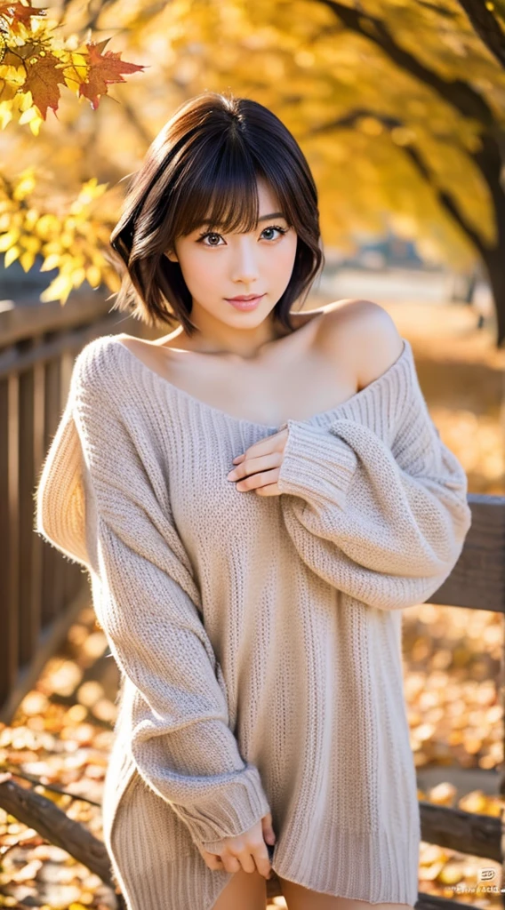 Best Quality, 8k, 32k, Masterpiece,Attractive Japan Woman Pictures, One Girl, (full body : 1.0), Abs, Perfect Body, (oversized tunic sweater : 1.1), (boots:1.1), Ultra Detailed Face, Detailed Lips, Fine Eyes, Double Eyelids,short hair,Disheveled Hair,erotic pose, autumn park 