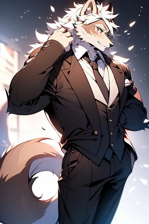 An Anime style Top Torso Body and Right Side Body Picture of A Very Muscular Kemono Furry Style Gray Wolf. He is wearing A Long Black Tuxedo suit with white shirt inside and black tie Outfit. His one hand is scratching his head while his another hand is in his pocket. The background is Solid white. He have Gray messy and spikey hair. He is looking at the viewer. His eyes are little red But Mostly white. He is standing in the background. He look like a video game character. He is smiling and blushes with blushes on his face. His tail is sticking upward. He is shy and little embarrassed