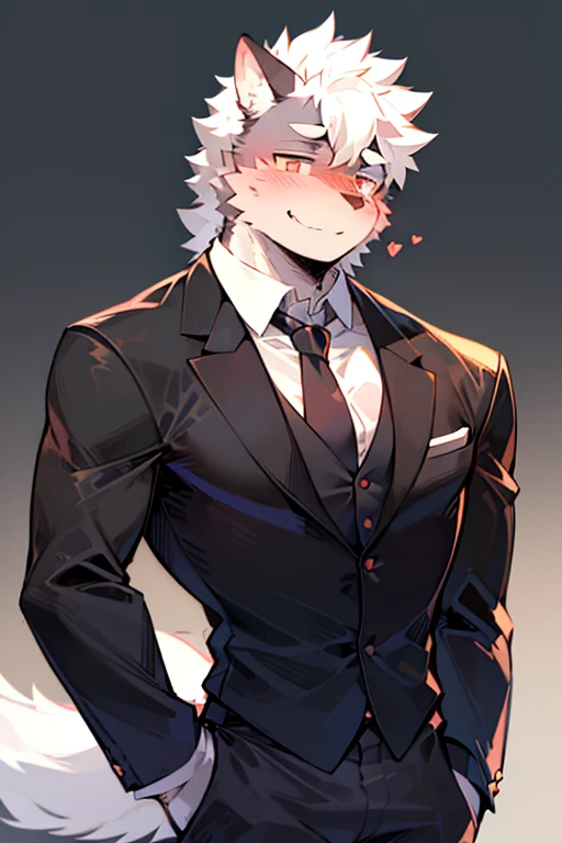 An Anime style Top Torso Body and Right Side Body Picture of A Very Muscular Kemono Furry Style Gray Wolf. He is wearing A Long Black Tuxedo suit with white shirt inside and black tie Outfit. His one hand is scratching his head while his another hand is in his pocket. The background is Solid white. He have Gray messy and spikey hair. He is looking at the viewer. His eyes are little red But Mostly white. He is standing in the background. He look like a video game character. He is smiling and blushes with blushes on his face. His tail is sticking upward. He is shy and little embarrassed