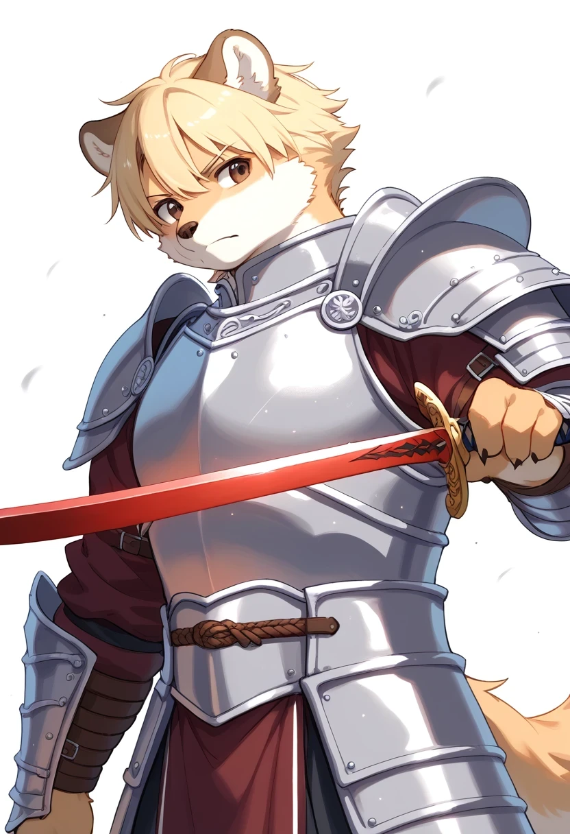 score_9, score_8_up, score_7_up, score_6_up, score_5_up, score_4_up, source_anime, best quality, amazing quality, very aesthetic, absurdres, 1 male, (furry, kemono:1.3), polar bear, armor, male focus, solo, weapon, sword, holding, white background, holding weapon, plate armor, simple background, short hair, holding sword, shoulder armor, closed mouth, pauldrons, breastplate, upper body, blonde hair, brown eyes, looking to the side, vambraces, long sleeves, looking ahead, A detailed digital illustration of a young man in a knight's armor, adorned with a red sword. The illustration is done in a watercolor style, with a white background, action posing,