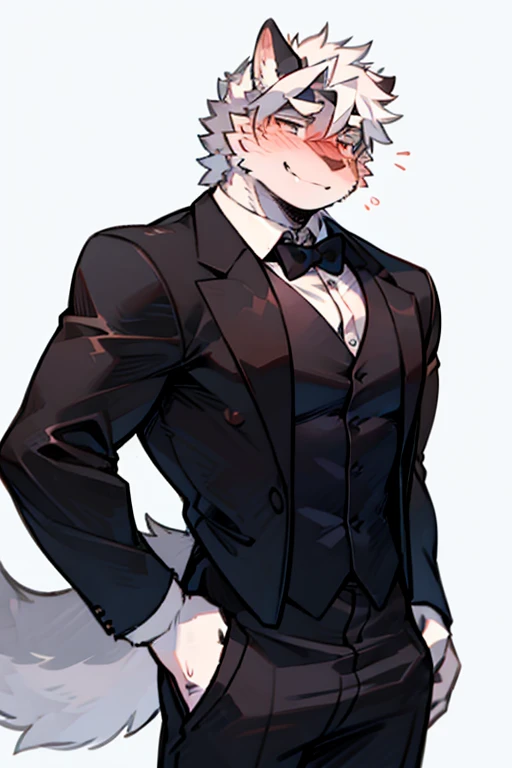 An Anime style Top Torso Body and Right Side Body Picture of A Very Muscular Kemono Furry Style Gray Wolf. He is wearing A Long Black Tuxedo suit with white shirt inside and black tie Outfit. His one hand is scratching his head while his another hand is in his pants pocket. The background is Solid white. He have Gray messy and spikey hair. He is looking at the viewer. His eyes are little red But Mostly white. He is standing in the background. He look like a video game character. He is smiling and blushes with blushes on his face. His tail is sticking upward. He is shy and little embarrassed. His mouth is little open