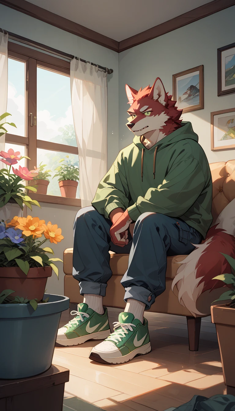 An anime-style illustration of a red furry wolf with hands and feet, wearing an olive green sweatshirt, dark blue cargo pants, and green pine Converse sneakers. The wolf is sitting on a semi-modern armchair in a minimalist room with white walls and wooden flooring. A flower pot is placed next to the wolf, and the room has a window with fog gray curtains. Sunlight streams through the window, casting a beautiful play of light.