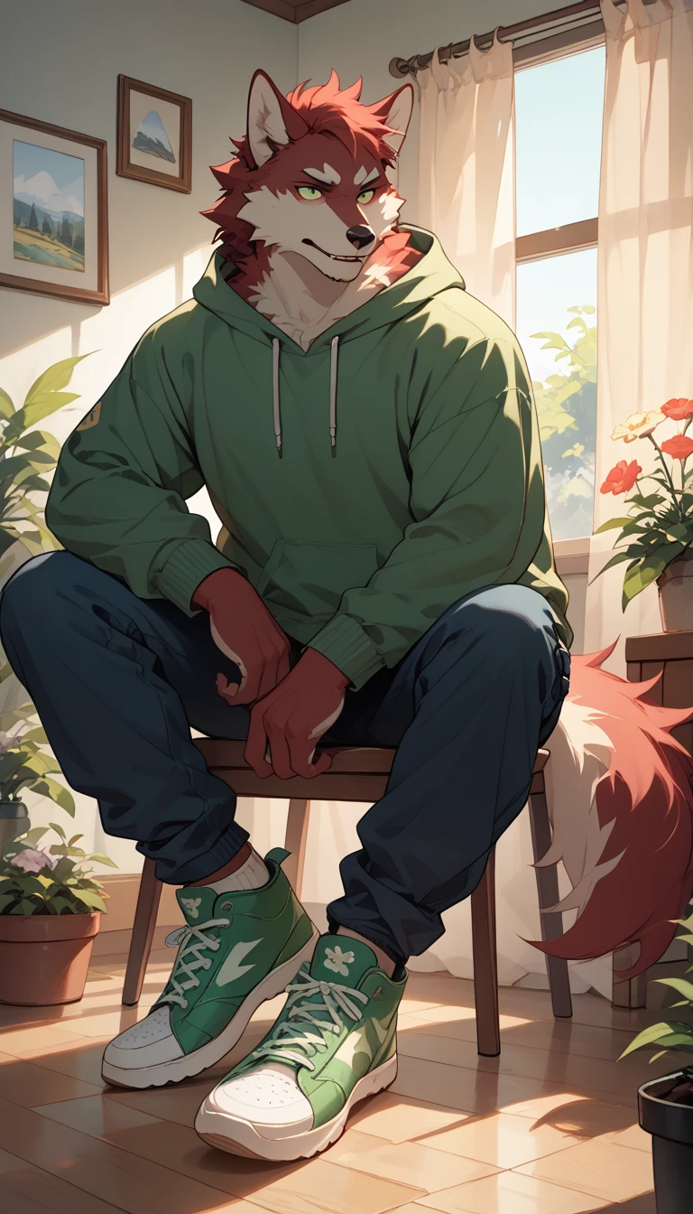 An anime-style illustration of a red furry wolf with hands and feet, wearing an olive green sweatshirt, dark blue cargo pants, and green pine Converse sneakers. The wolf is sitting on a semi-modern armchair in a minimalist room with white walls and wooden flooring. A flower pot is placed next to the wolf, and the room has a window with fog gray curtains. Sunlight streams through the window, casting a beautiful play of light.