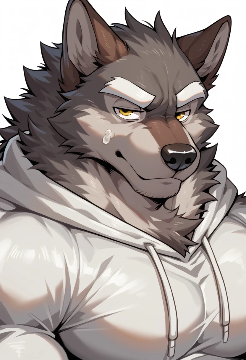 muscle gray wolf, (((gray wolf))), canid, furry, (thick, muscle, hyperthophy), ((reddish brown fur)), (big eyes, yellow eyes), male, long snout, wide snout, black nose, (((focus on face))), (white eyebrows), ((very thick fur)), ((half-closed eyes)), ((huge muscles, very muscular neck, massively huge pecs)), white hoodie