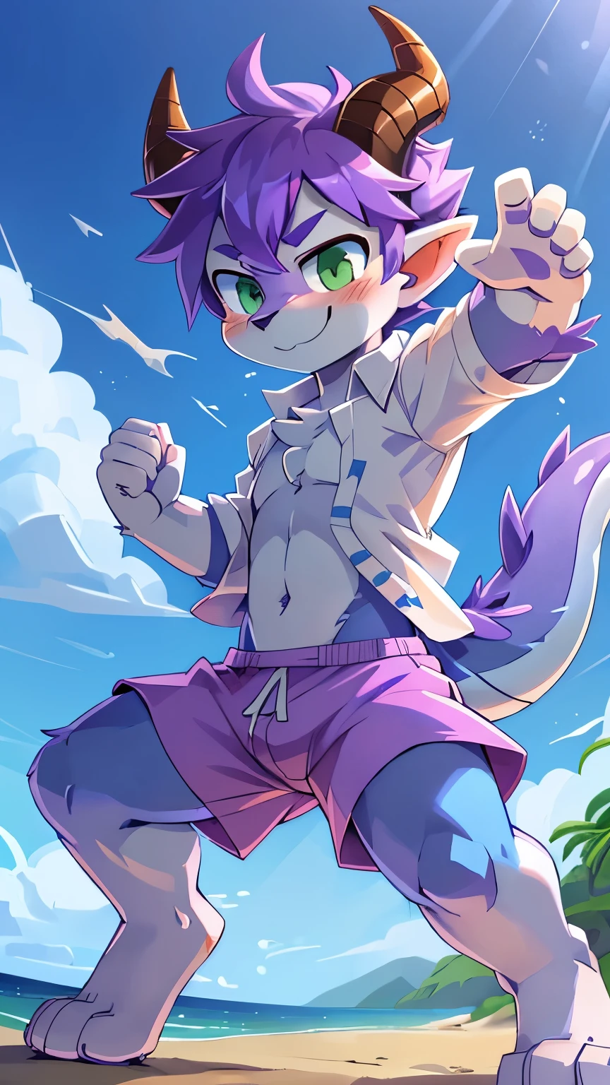 score_9,score_8_up,score_7_up, source_cartoon, source_furry, dragon boy, horns, green eyes, tail, purple hair, shota, furry, blush, dragon tail, looking at viewer, smile, dragon horns, pointy ears, purple animal nose, short hair, furry male, ((two tone body fur, blue body fur, white body fur)), ((white hawaiian shirt, open clothes, lilac swim trunks)), beach, clear sky, full body, feets with three toes, 3 toes, hand towards viewer, from above, dynamic action shot, motion blur, fight pose, fight stance, thick outline, anthropomorphic, countershading,