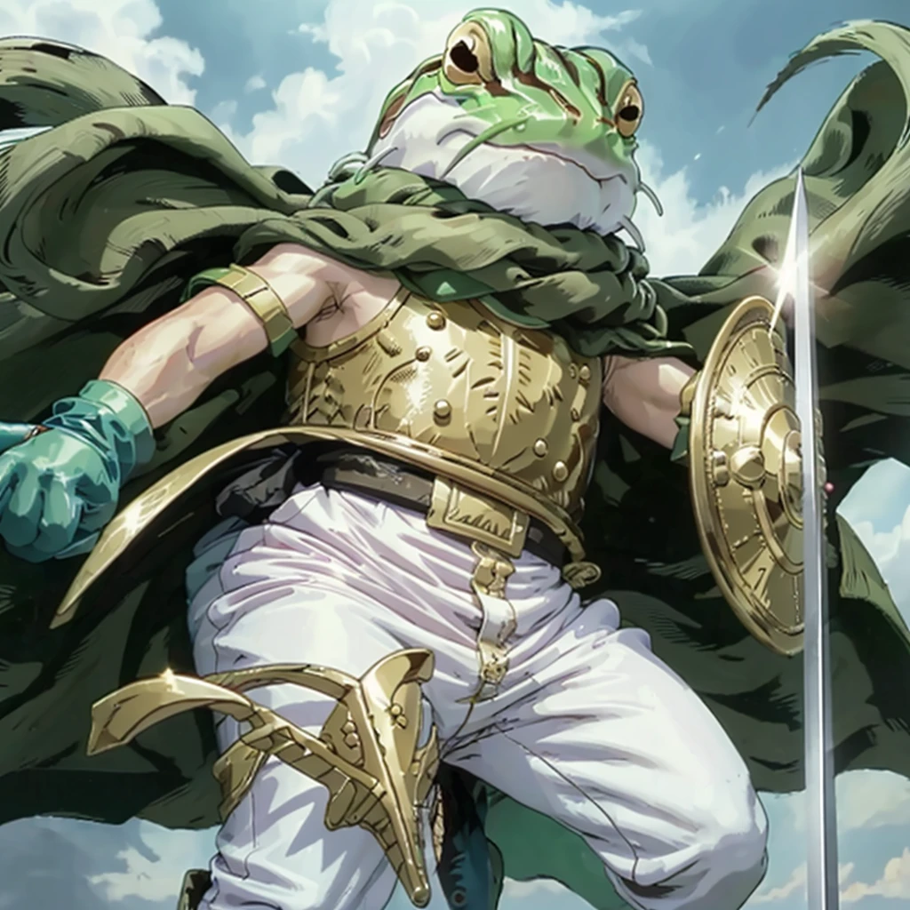 frog, gold breastplate, holding sword and shield, glove, white pants, green cape