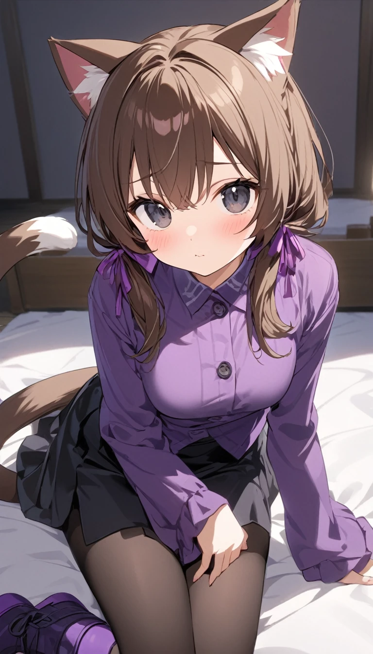 masterpiece, best quality, high quality, beautiful anime character, solo, anime girl with brown hair, soft hair, long hair, blue eyes, cat ears, big breasts, mature female, tall female, big girl, thick, (calming face, light smile, loving eyes), indoors, (white shirts, white panties, dark blue pleated skirt), cat tail, from below view, squatting, school girl, white socks, 