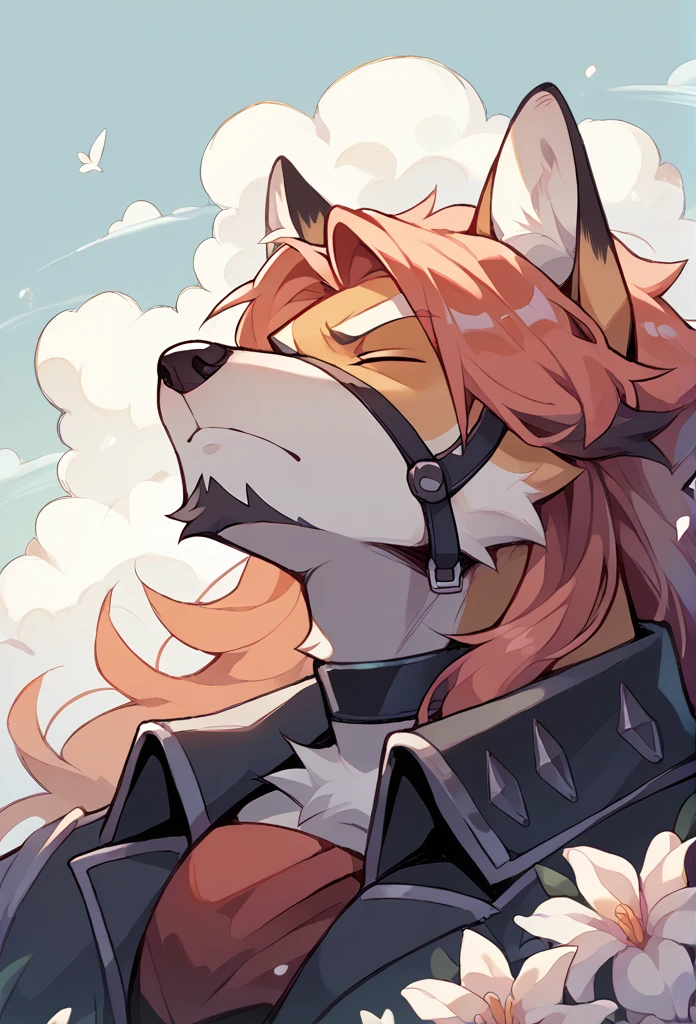 A fox, with a modquetero costume suit, Long hair, short black beard, Serious, head up, sideways, eyes closed, flowers around, clouds, bottom, youthful face, half body shot angle.