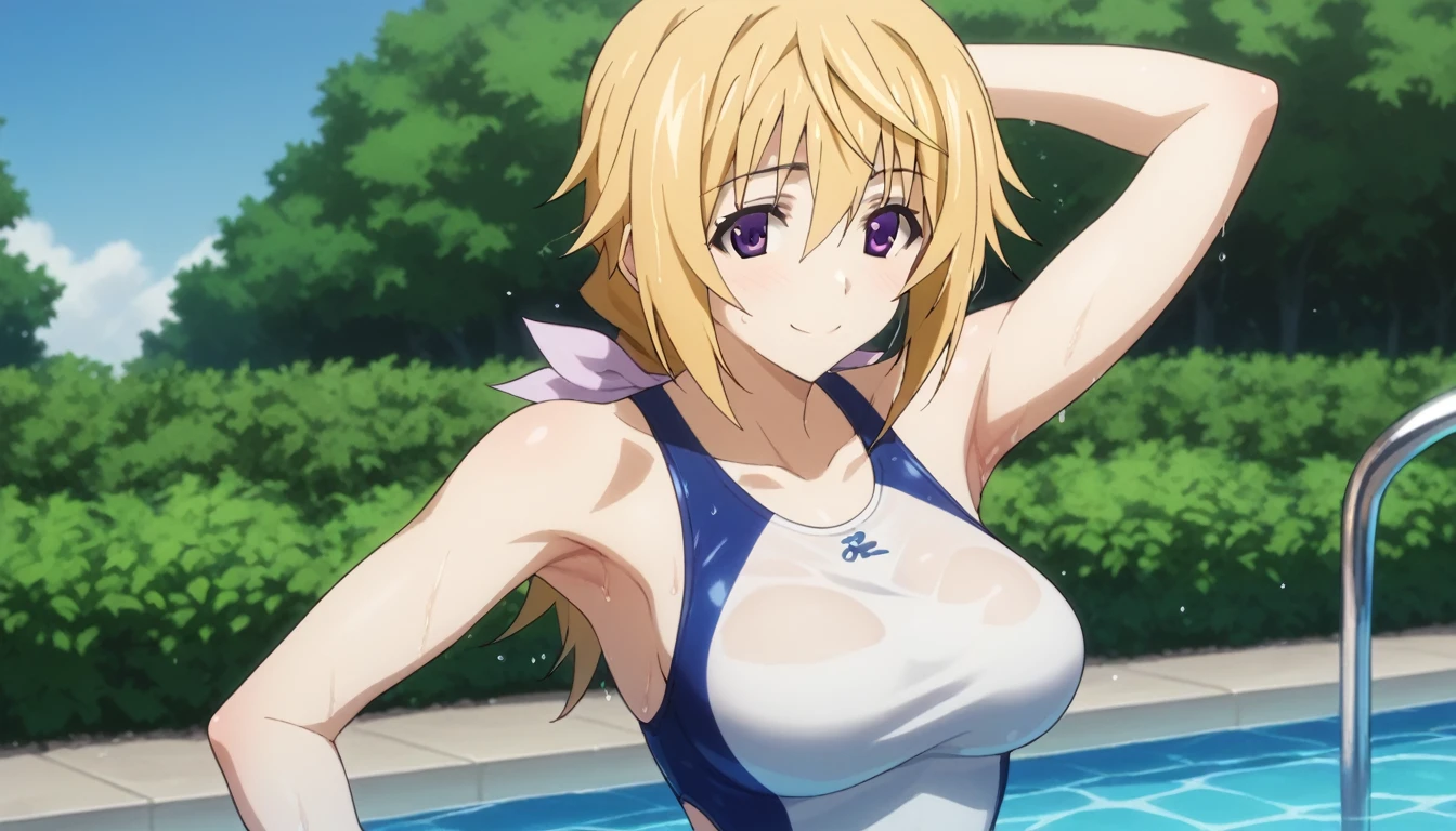 Score_9, Score_8_Superior, Score_7_Superior, sauce_anime,
Charlotte Denoy, Charlotte Dunois, Long Hair, blonde, Ribbon Purple Eye, ponytail, Hair Ribbon ,(Fits your body,White competitive swimsuit),View your audience, Alone,whole body,Large Breasts,Anatomically correct, Captivating smile, Poolside,One Girl, 8k,Show your armpits,Wet with sweat,