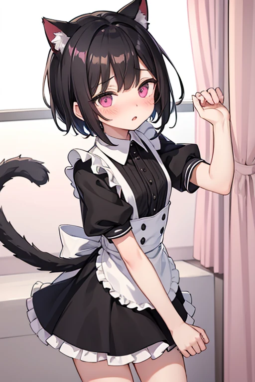 Male, black hair、Very short hair and droopy eyes、Pink eyes, cat ears, blushing face, young, short sleeves、Short skirt length、Maid uniform