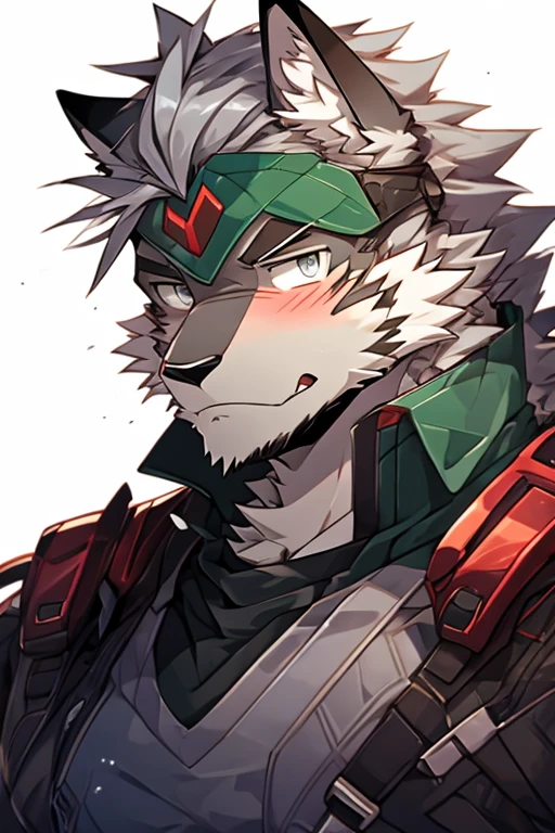 A Very Muscular, Furry style, Gray Wolf, Full long Armed Dark Green Soldier Suit Outfit, Soldier Outfit, looking at the viewer, white background, Simple background, spikey hair, very messy hair, gray hair, blushes on his face, very long tail, gray eyes, Solo, Eye-Level Shot, From Side, Front pic, Closed Mouth, Ear Blush, Excited, 