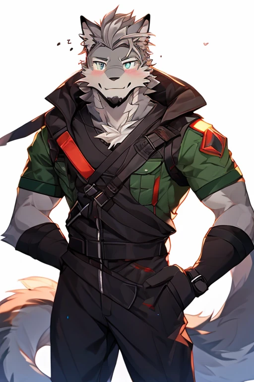 A Very Muscular, Furry style, Gray Wolf, Full long Armed Green Soldier Suit Outfit, War type Soldier Outfit, looking at the viewer, white background, Simple background, little spikey hair, little messy hair, gray hair, blushes on his face, very long tail, gray eyes, Solo, From Side, Front pic, Closed Mouth, Ear Blush, Excited, Hands are in pocket