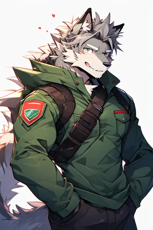 A Very Muscular, Furry style, Gray Wolf, Full long Armed Green Soldier Suit Outfit, War type Soldier Outfit, looking at the viewer, white background, Simple background, little spikey hair, little messy hair, gray hair, blushes on his face, very long tail, gray eyes, Solo, From Right Side, Front pic, Closed Mouth, Ear Blush, Excited, Hands are in pocket