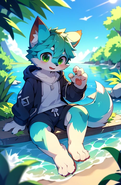 Furry,Fox,boy,8k resolution,最High resolution, High resolution,Sea view,Wearing a hoodie,Green Eyes,summer