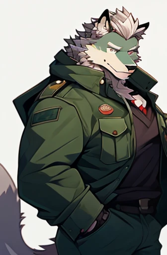 A Upper Torso Body and right Side Body Picture of A Very Muscular Furry style Gray Wolf. he is wearing A Full long armed Dark Green Soldier suit Outfit that was used in the war. his hand are in his pocket The background is all White. he have a very long tail. His hair is spikey and messy. He have A gray hair. He have a little smile with blushes on his face in shyness. he is looking at the viewer. he have no hats on