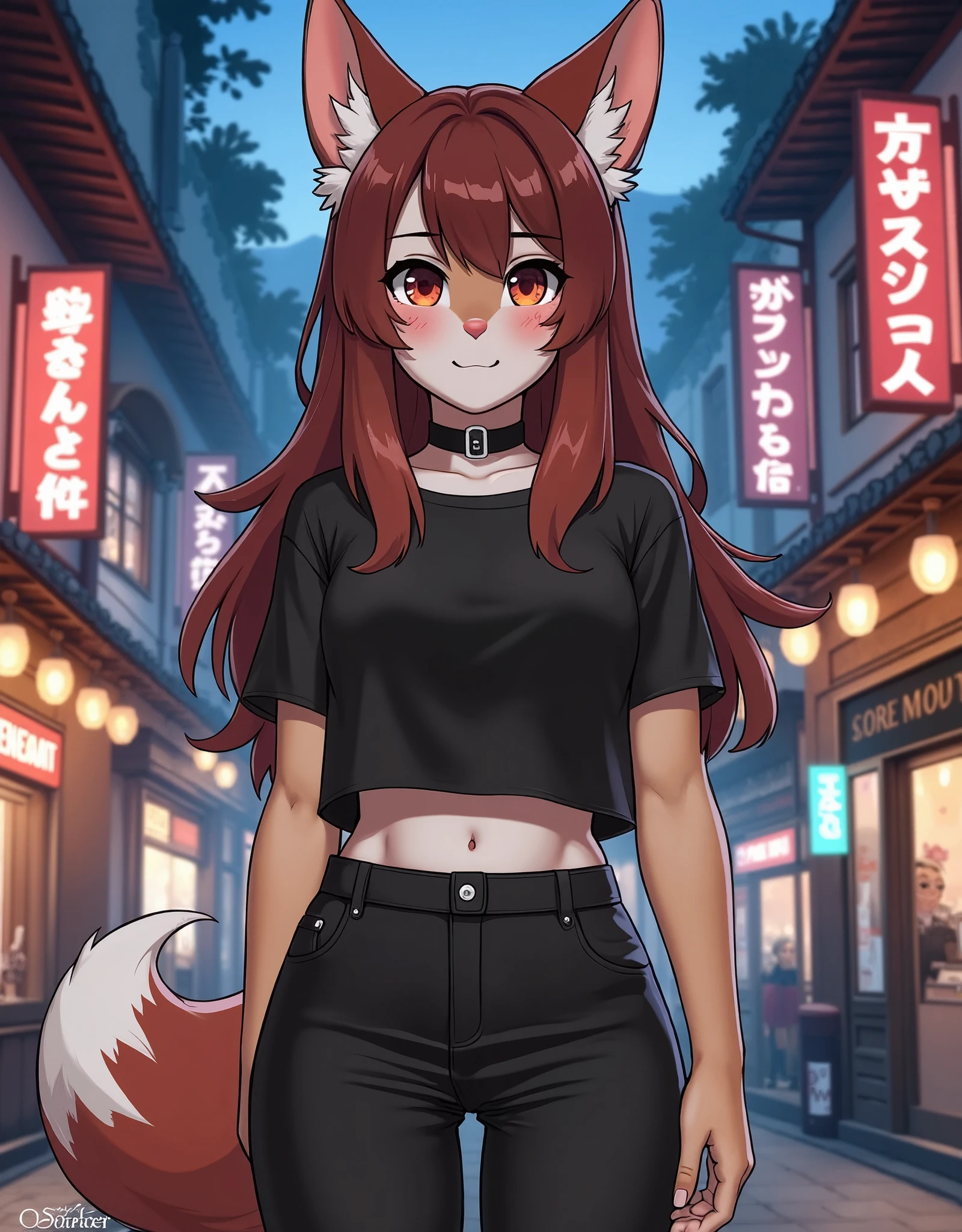 a beautiful anthro furry girl, girl wears black pants, girl wears black shirt, background is night village, masterpiece, best quality, safe