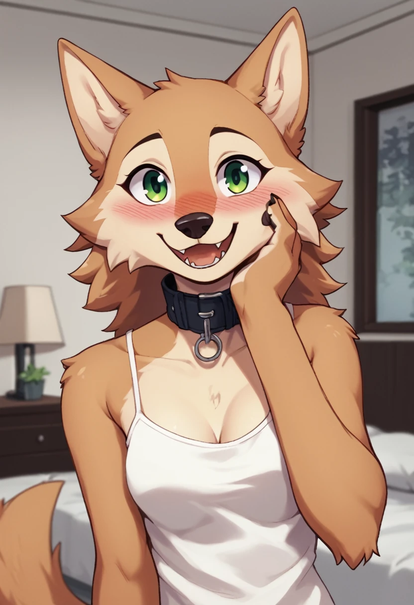 score_9, score_8_up, score_7_up, score_6_up, score_5_up, score_4_up, source_furry, by euf-dreamer, standing, indoors, bedroom, bed, upper body BREAK female, anthro,, wolf, tan fur, hand on own face, collar, white camisole,  medium breasts, smile, looking at viewer, green eyes, blush, open mouth  