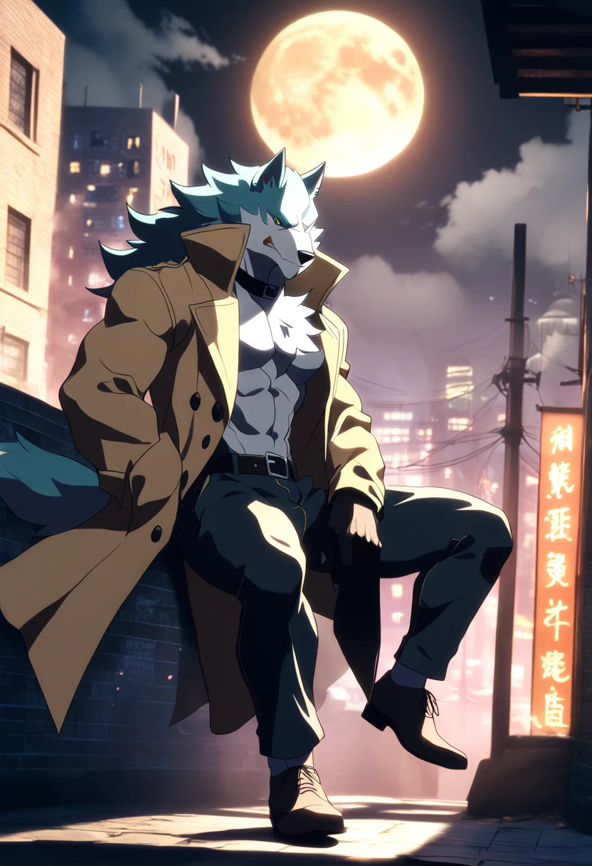 1 lobo, anthropo, shirou Ogami, shirou_Ogami_bna, Muscular, wearing jeans, black shirt, retro steampunk coat, dress shoe, wearing a leather collar, fundo é a cidade de bna, at night, on top of a building, in the moonlight, big moon, beautiful moonlight, perfect light, better quality, perfect anatomy, FIRST WORK, perfect shadows, 8k, HD