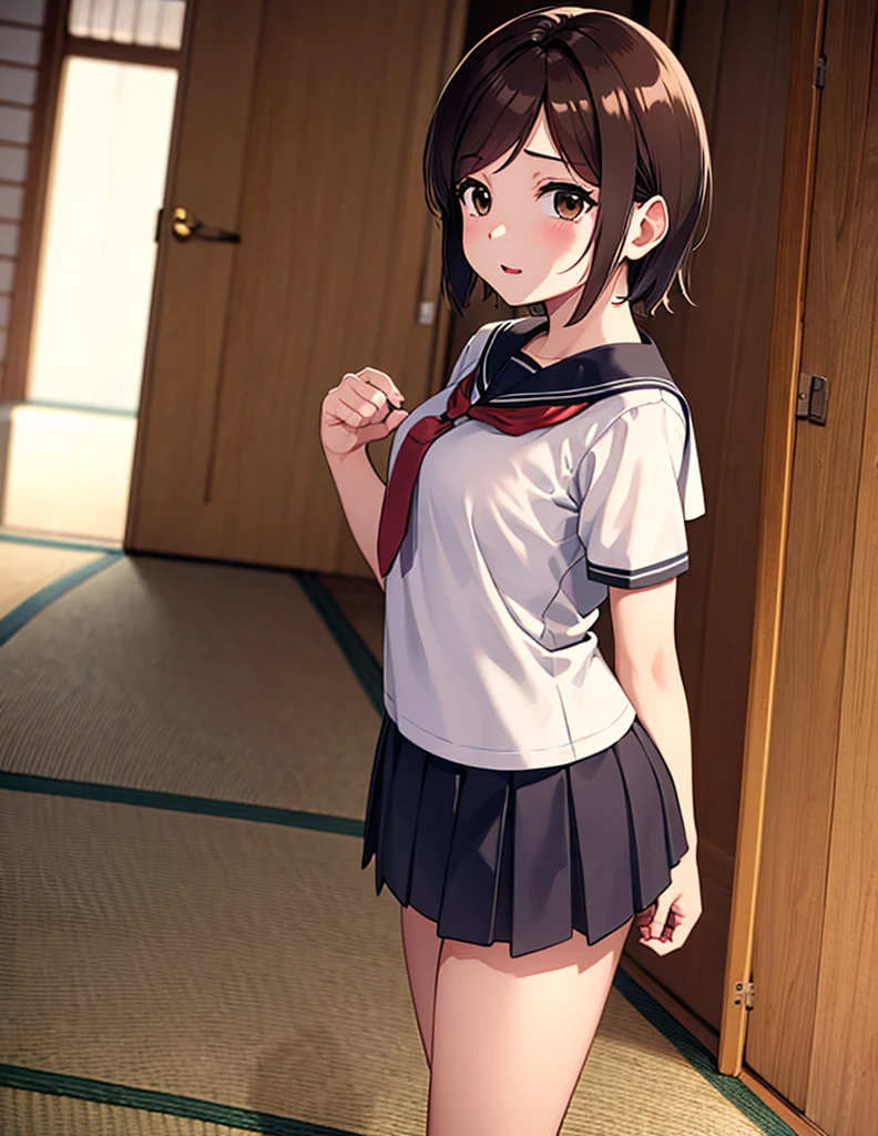 ((masterpiece, Please redeem, Very detailed, Very beautiful 8K CG wallpaper)), , A little thick,Side part semi-short,Medium Hair,Ireneの前髪, Brown hair with a slight reddish tint, Side part semi-shortヘア,Messy hair, Brown eyes with subtle red tinge,Monkey Fist player、Sailor suitスタイルのユニフォーム、Large bust、Sailor suit、mini skirt、Monkey Fist、cute expression、Inside the Monkey Fist Gymnasium、、On the tatami、discovery、One Girl、whole body、rest、Irene、Bust Size: Top 82, Under 69, Small B cup、Raised by a grandfather who was a martial artist、Height 159.5cm、Schoolgirl uniform、High school uniform tie、女子高生のmini skirt、loafers