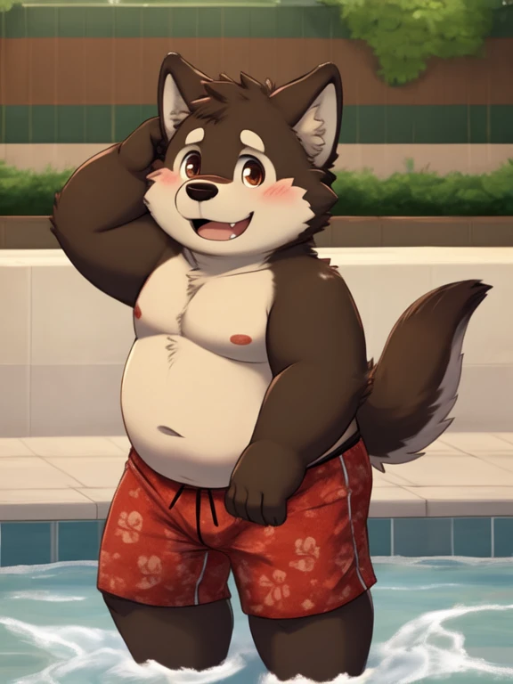 Dark Brown Wolf, chubby, chubby, tender, embarrassed smile, very cute, wearing red boxers, mooning, showing butt, at public bath, playful, shirtless