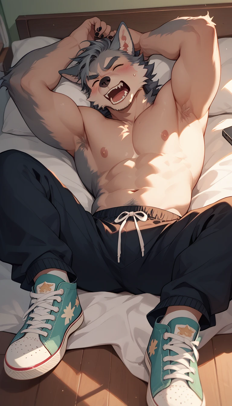 A anime illustration of a charming anthropmorphic furry Grey wolf laying on bed with his hands on the back of his head yawning and rubbing his eye colored sweatpants and shirtless with a sixpack cute and pinkish nipples has black nails and teeth are sharp. and tan Converse sneakers. in the bedroom, and the warm sunlight of the setting sun casts a golden hue on the scene, creating a beautiful play of light. The overall atmosphere is cozy and inviting, with a touch of whimsy and charm, illustration, anime