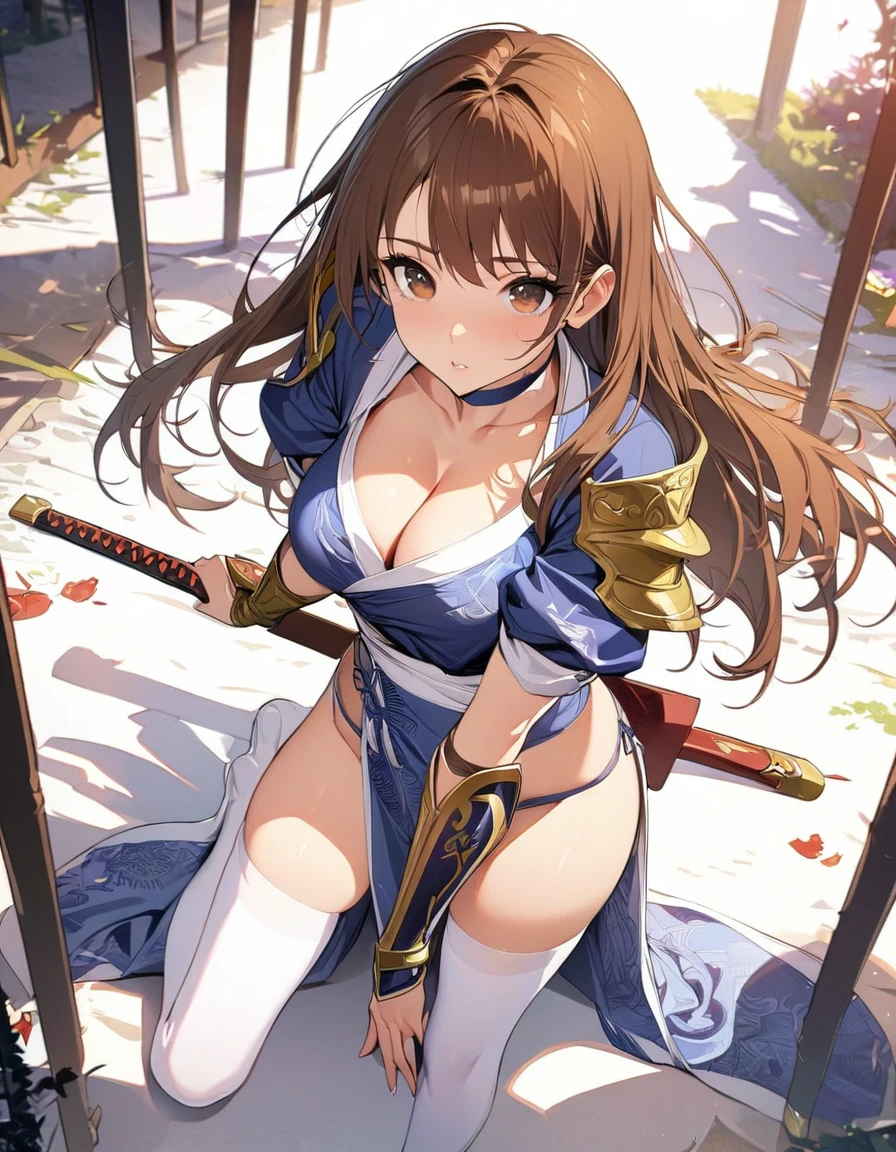 (masterpiece),(Best Quality),(Super detailed),(Best illustrations),(Best Shadow),(Absurd),(Detailed Background),(so beautiful), One Girl, Alone, Kasumi(if), Brown eyes, Brown Hair, Long Hair, , choker, 青いarm guards, , cleavage, , pelvic curtain, Blue dress,  thighhighs