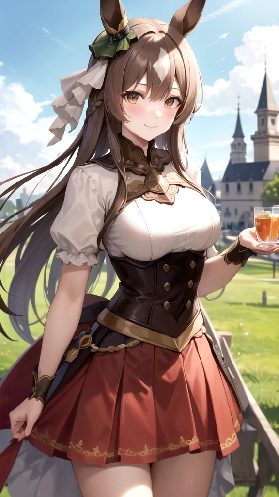 masterpiece, best quality, highres, {{8k}},
BREAK,
aasato, long hair, half updo, braid, hair between eyes, animal ears, ear ornament, medium breasts, plate armor, long red skirt, cowboy shot, shy smile, blush, cute, wide hips, busty,
BREAK,
outdoor, castle,