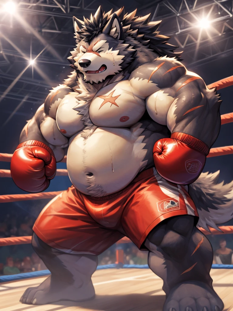 Rugged, Heavyweight man with big belly and fat body,plump body, Plump face, Dark grey hair with a noticeable scar, boxing gloves and boxing shorts,, Exhausted, Surrounded by fluffy, Shaggy Yemeni Wolf or Wolf-oak,Boxing ring background, Very detailed, High resolution, Dynamic lighting and vibrant colors for stunning images, The man looks excited and disdainful, Closed stance full body shot, In cartoon style, By Arashi Takeuchi, Zixiong, Tuni, and、Ghost in the Sky, Boxing ring in the background,sweat:1.5,plump:2