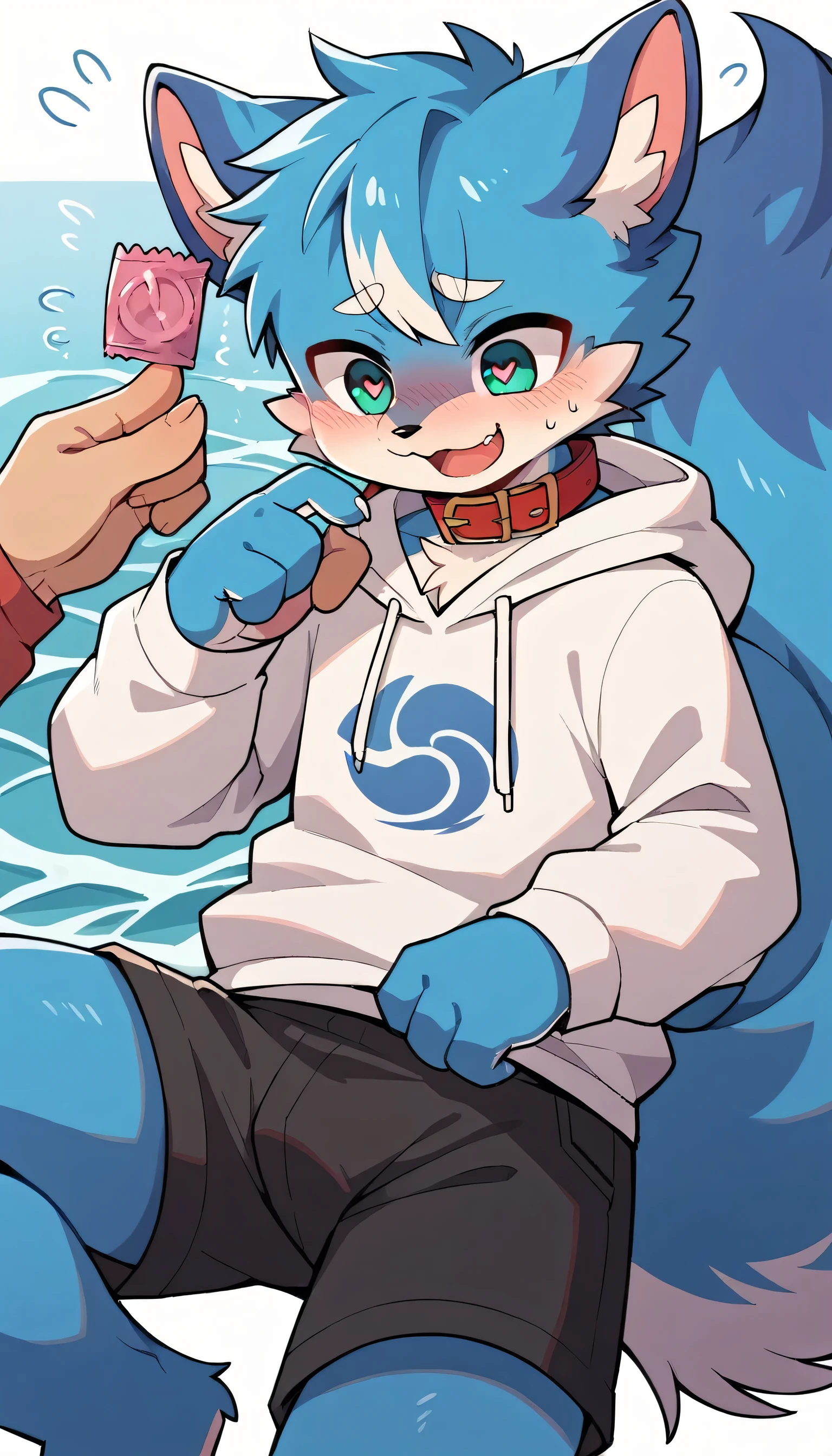 Very detailedな,Very detailed,Blue fur,Age 15,male,Excited at the sight of bones,Heart Eyes,participate,Red collar,Cute face,Fluffy fur,Horny boy,Wave,condom,Blushing the nose,Embarrassing,Bright sky,Black shorts,Sweatshirt,Long sleeve,Trendy