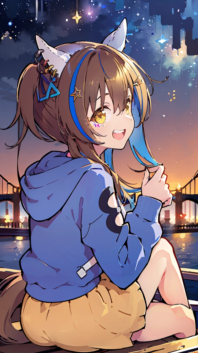 masterpiece, Best Quality, High resolution, Very detailed,(((Daitaku Helios))), (((Horse Girl))), (((hoodie))), (((Sitting far away))), (((Facing forward。))), (((night))), (((Starry Sky))), (((Laughing。))), (((Golden Bridge)))