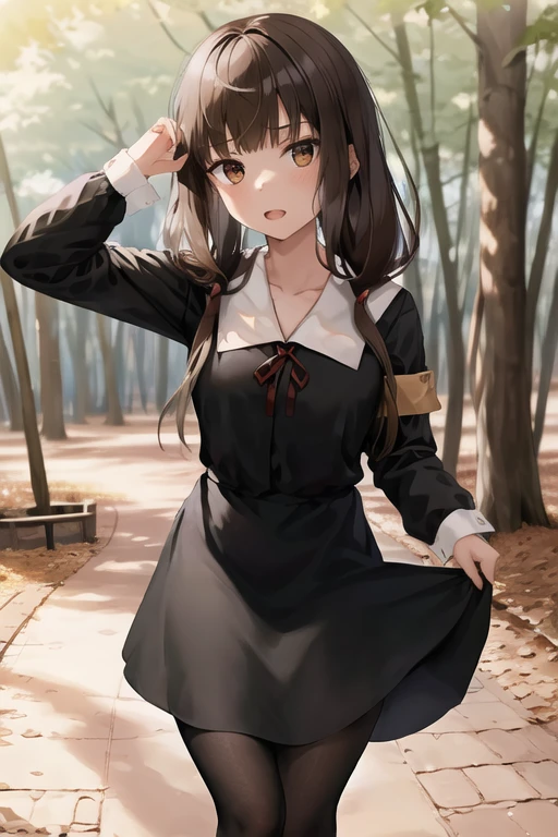 masterpiece, best quality, highres, bbmiko, long hair, low twintails, blunt bangs, collarbone, neck ribbon, red ribbon, black dress, black shirt, long sleeves, black sleeves, armband, black pantyhose, standing, cowboy shot, outdoors, show panties, lift skirt, show teeth, low_angle_human,show white panties:1.5, 