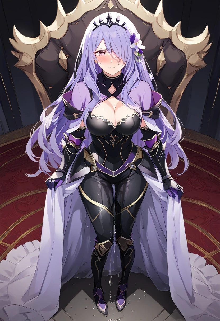 score_9, score_8_up, score_7_up, score_6_up, score_5_up, (1girl:1.5), solo, defCm, hair over one eye, black tiara, purple capelet, black armor, cleavage, gauntlets, gloves, armored legwear, tight pants, see-through, extremely detailed eyes and face, detailed facial features, wetting self, (heavily wetting self:1.25), standing, knees together, throne room, from above, embarrassed, humiliation, (angry:1.5), (blushing:2.0) (standing:1.5), tears, (best quality,4k,8k,highres,masterpiece:1.2),ultra-detailed, portrait, cinematic lighting, dramatic contrast, (full body:1.5)