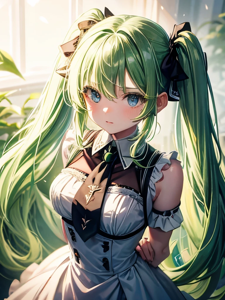 Big Breasts、Long Hair、Twin tails、Green high-leg、See-through、From the knee up、Wet