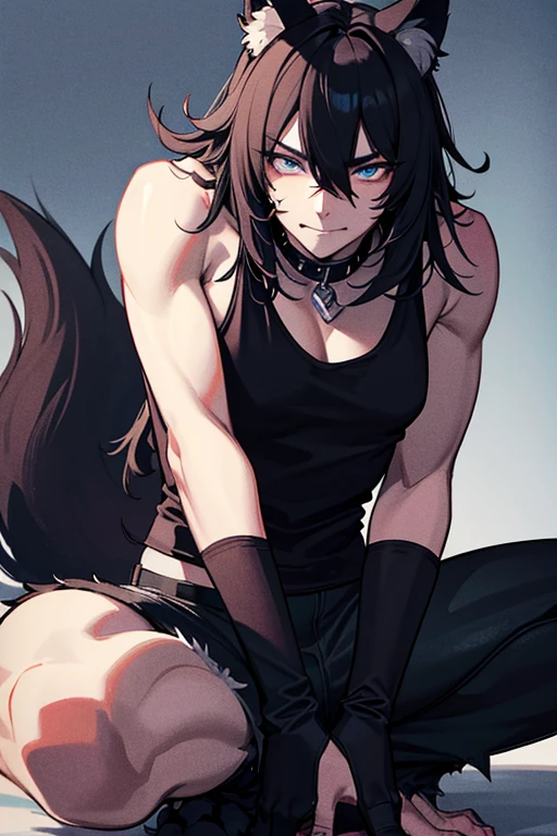 1boy, closeup crotch shot, sexy spread legs, bare chest, toned, sharp wolf ears, wolf tail, messy hair, golden eyes, HD, masterpiece, vibrant, serious expression, thigh highs, black micro thong, bulge, bare chest, cat box