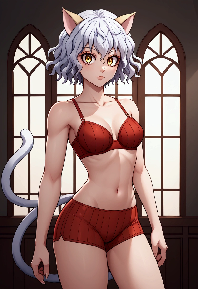 neferpitou, neferpitou, short hair, (golden eyes :1.5), animal ears, hair between the eyes, tail, white hair, cat ears, cat tail, cat girl, curly hair, peitos grandes to break long sleeves, shorts,short red , short and tight shorts short and tight sleeveless bra red bra, to break looking at viewer, to break indoors, academia (cowboy shot:1.5), to break (masterpiece:1.2), best quality, alta resolución, unity 8k wallpaper, (Illustration:0.8), (beautiful detailed eyes:1.6), extremely detailed face, perfect lighting, extremely detailed CG, (perfect hands, perfect anatomy), hunter  x  hunter 