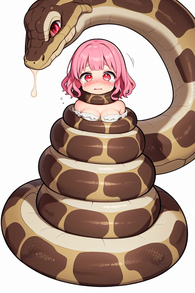 chibi, flat color, solo, full body, cute, (highest quality), pink Hair, Red Eyes, bob cut, ((wavy hair)), off shoulder, Beautiful Eyes, A bright and curious personality, Mood makers, Crying, (yellow Sleep dress), white background, (masterpiece), masterpiece, best quality, highres, blush, beautiful detailed eyes, cleavage, snake, (coiled), (python), snake scales detailed, mad, restrained, masterpiece}}}, {{highly extreme detailed}}, solo, Focus on the girl, {orgasm}, {sweaty}, {{python sex}}, (((object insertion))), jangle, spread arms, interspecies, bestiality, (Giant python bestiality, Giant python sex, ((Giant python Rape)), Giant python Rape, Giant python Coils, Passionate Squeeze) (((Giant python coils, Passionate squeeze, ))), coils,((The girl is wrapped around a giant python)), ((giant python rape)), giant python sex, 