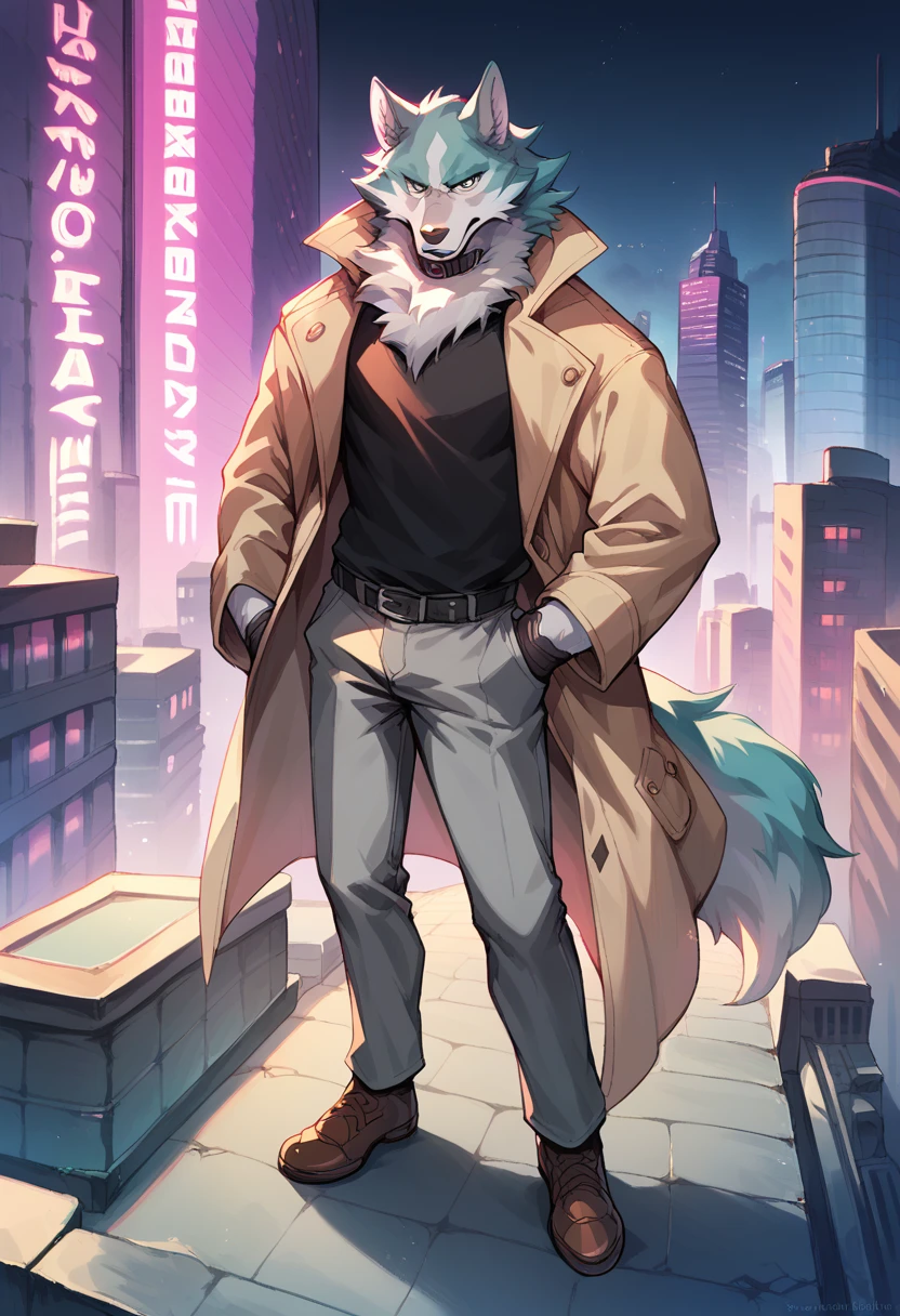 score_9, score_8_up, score_7_up, shirou ogami, wolf anthro, trenchcoat, black shirt, collar, gloves, grey pants, brown shoes, standing on top of building, rooftop, detailed background, neon lights, city