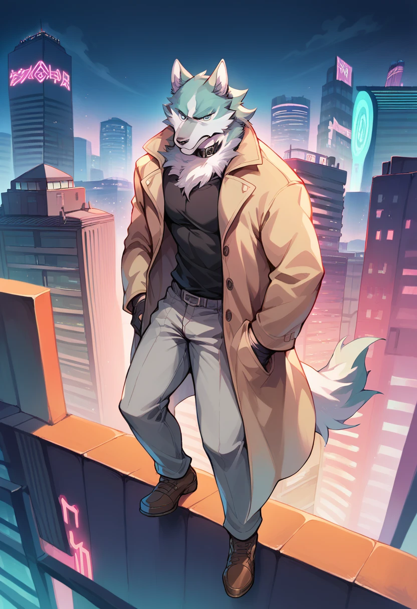 score_9, score_8_up, score_7_up, shirou ogami, wolf anthro, muscular, trenchcoat, black shirt, collar, gloves, grey pants, brown shoes, standing on top of building, rooftop, detailed background, neon lights, city