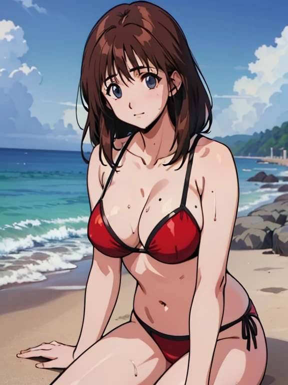 (Anime Style)、(beautiful顔:1.5)、(beautiful、Large Breasts:1.2)、colorful、Glowing Skin、(masterpiece:1.5)、(High resolution)、(Best Quality)、(Ultra high definition)、break、Qingzi、headx、Perfect body、Brown Hair、blue eyes、Red Bikini、break、(You can see Enoshima from the beach)、(Wet)