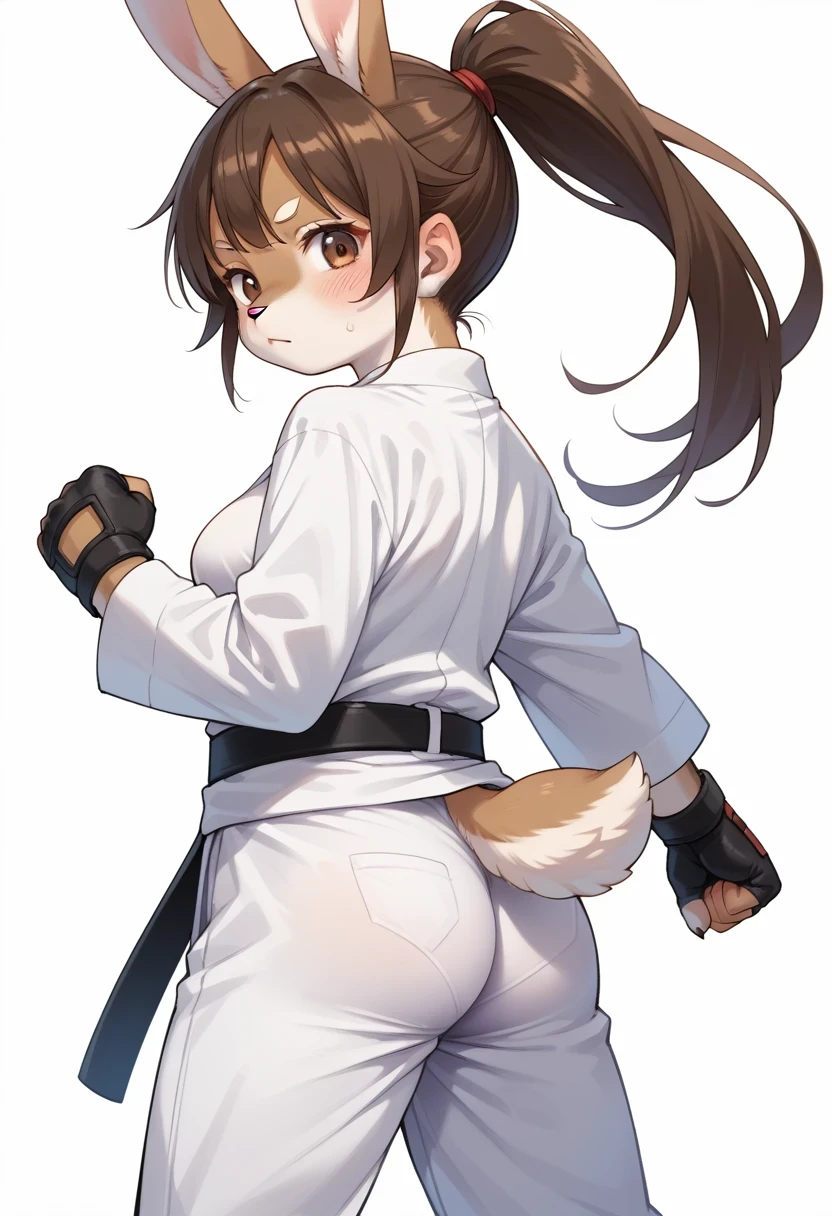 score_9, score_8_up, score_7_up, score_6_up, score_5_up, score_4_up, source_anime, best quality, amazing quality, very aesthetic, absurdres, 1girl, (furry, kemono:1.2), rabbit, gloves, fingerless gloves, karate gi, solo, dougi, ponytail, ass, looking at viewer, long hair, brown hair, looking back, from behind, belt, pants, sweat, white background, simple background, martial arts belt, fighting stance, clenched hands, brown eyes, long sleeves, blush, black gloves, black belt, breasts, high ponytail