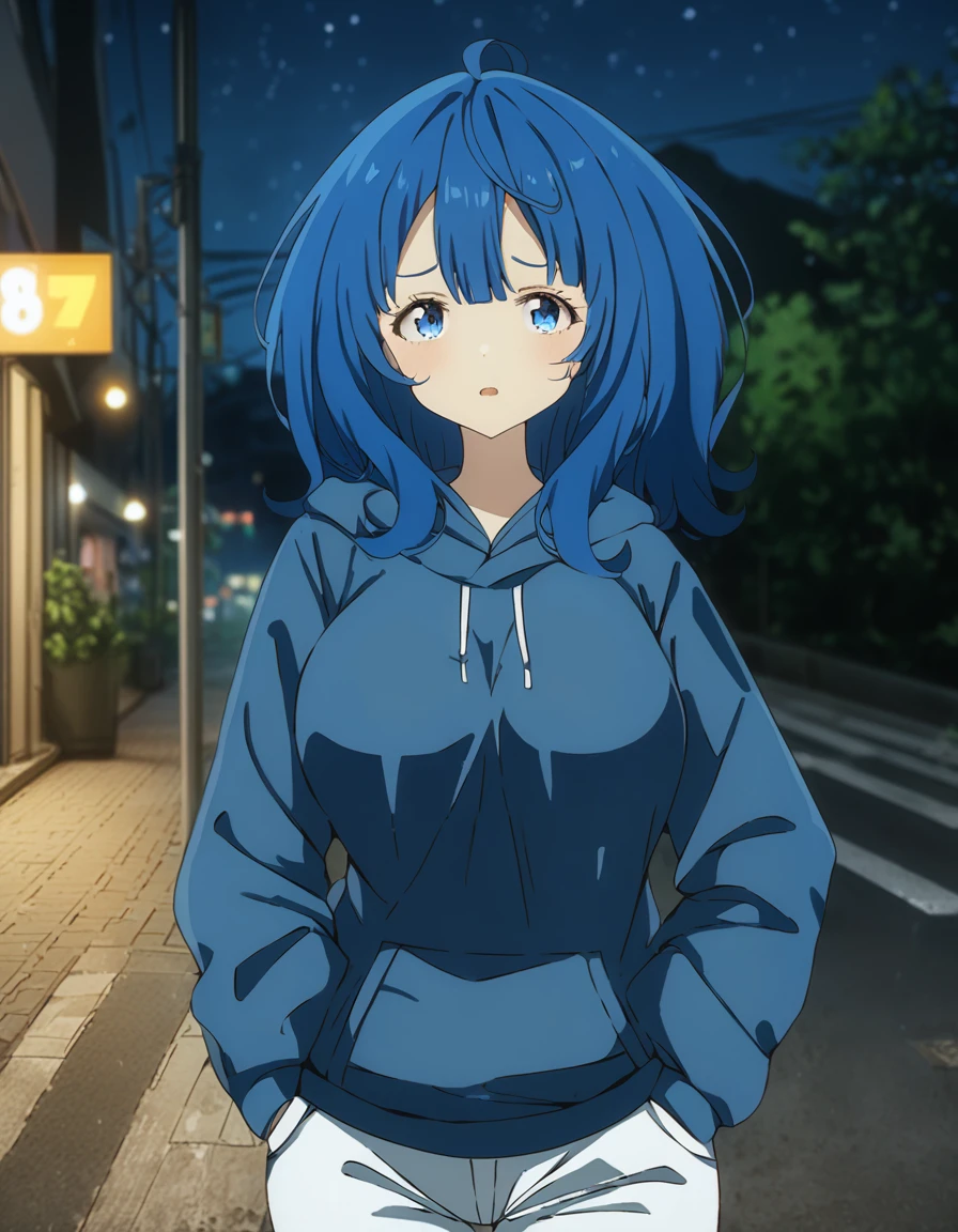 Score_9, Score_8_up, Score_7_up, source_anime, annayanami, annayanami, medium hair, blue eyes, ahoge, blue hair, large breasts, blank expression, dark blue hoodie, over size hoodie, put on hood, long pants, put hands in pocket, night, street, solo, best quality, ultra-detailed, high resolution, 8K, 