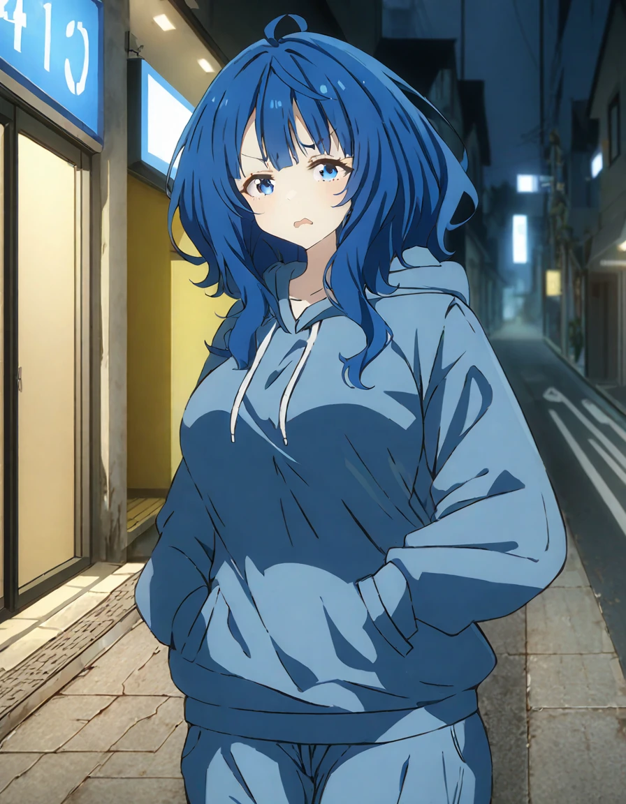 Score_9, Score_8_up, Score_7_up, source_anime, annayanami, annayanami, medium hair, blue eyes, ahoge, blue hair, large breasts, stern expression, dark blue hoodie, over size hoodie, put on hood, long pants, put hands in pocket, night, street, solo, best quality, ultra-detailed, high resolution, 8K, 