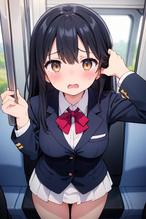 Black hair in a blazer uniform on the train、A girl with short bobs and small breasts wearing a floral bra is crying in disgust after a molester opens the front of her blouse and touches her breasts over her bra.