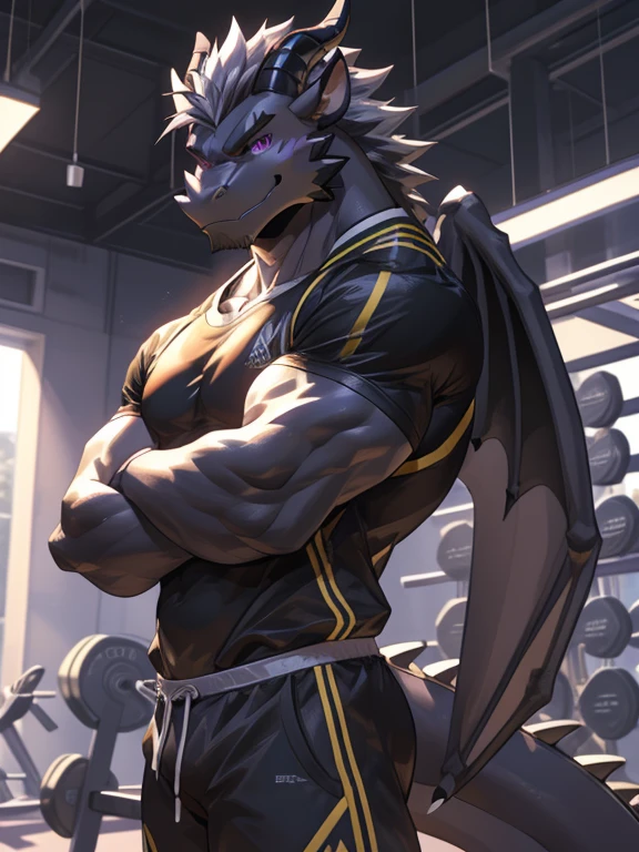 Masterpiece, Solo, (Black dragon, Purple eyes, Medium gray hair, Medium facial gray hair A Pair of black horns) Muscular Body, Handsome, Good Looking, Adult, Fierce, Smirking, gym outfit, gym furry background